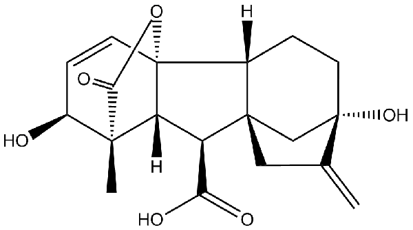 赤霉素GIBBERELLIC ACID，居然有這么神奇？